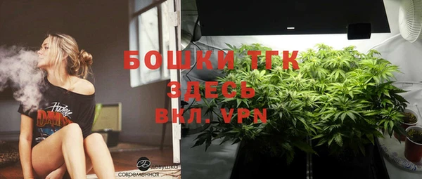 дживик Пересвет